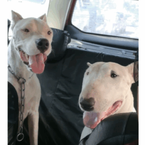 producto de prueba – COPIA – COPIA – COPIA